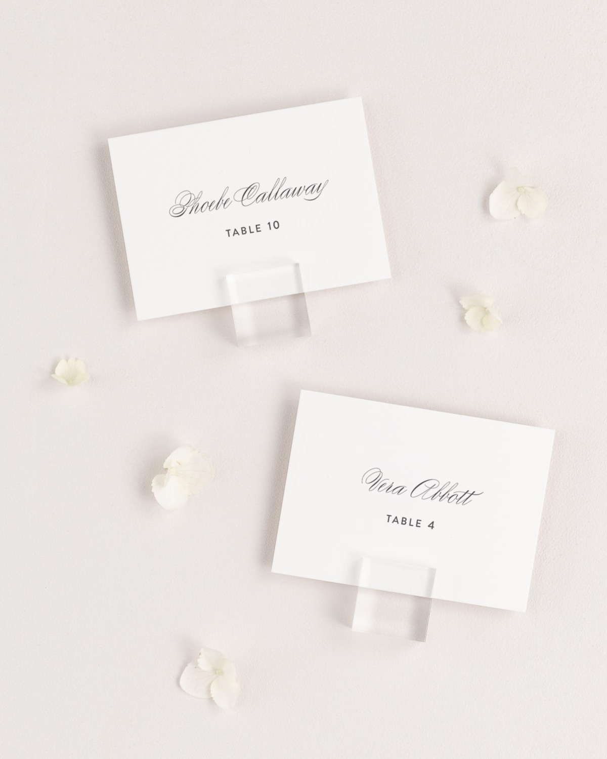 Script Elegance Place Cards Shine Wedding Invitations