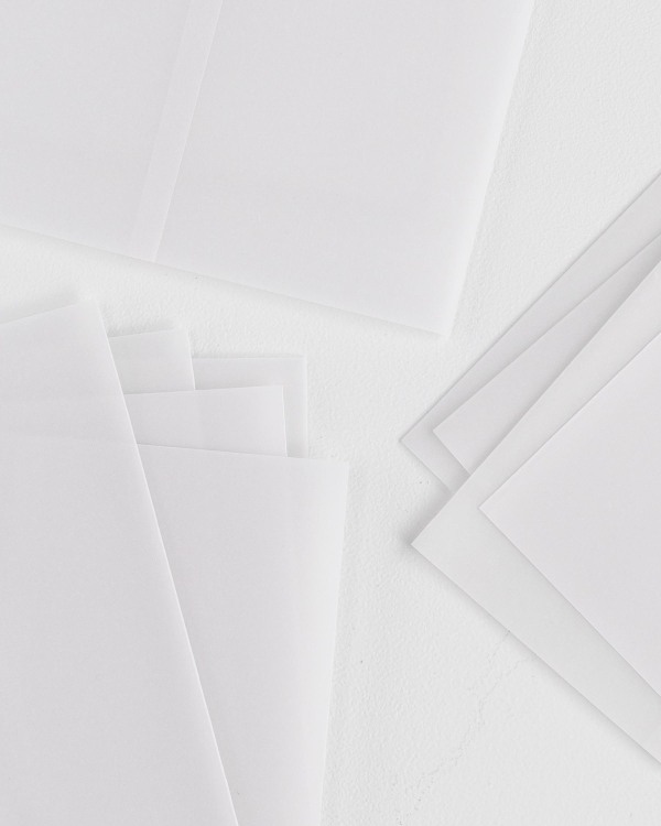 Vellum Jackets Shine Wedding Invitations